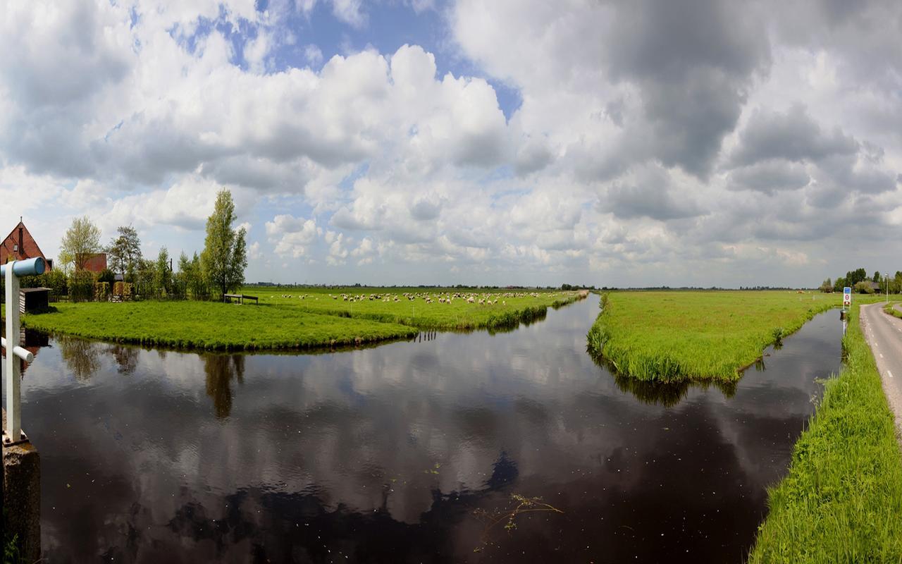 Amsterdam Farmland Bed and Breakfast Eksteriør billede